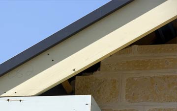 Dunstall Green fascia repairs