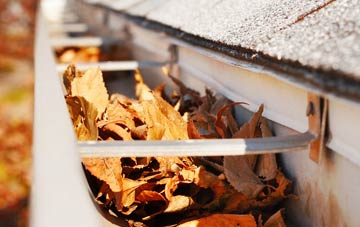 Dunstall Green gutter cleaning companies